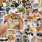 10/30/50PCS Kawaii Love Cat PVC Sticker Aesthetic Children's Korean Decoration Scrapbooking Stationery School Supplies for Kids